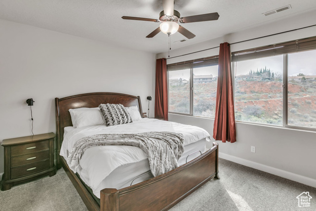 533 North Creek Ridge Circle Washington, UT 84780 - Photo 13 of 34