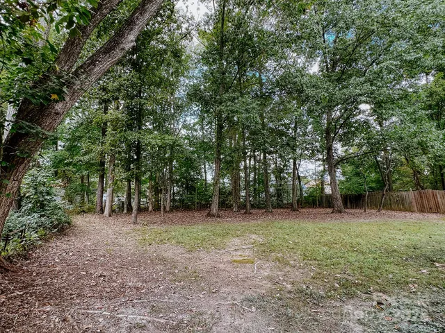 a view of a trees in a yard