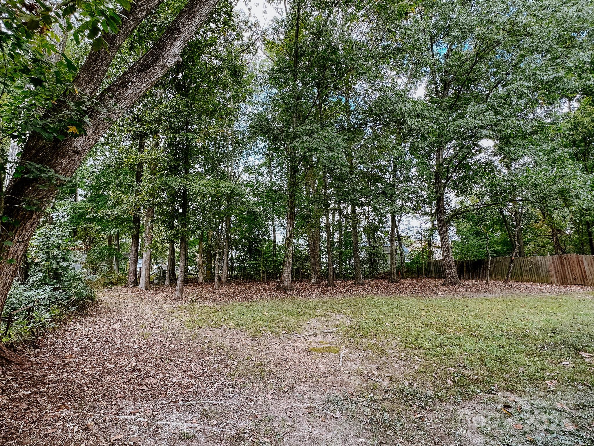 2105 Killarney Place Charlotte, NC 28262 - Photo 43 of 43 a view of a trees in a yard
