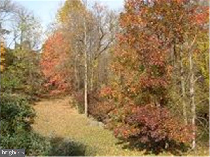 4313 Riders Lane Boothwyn, PA 19061 - Photo 21 of 21 Back Yard