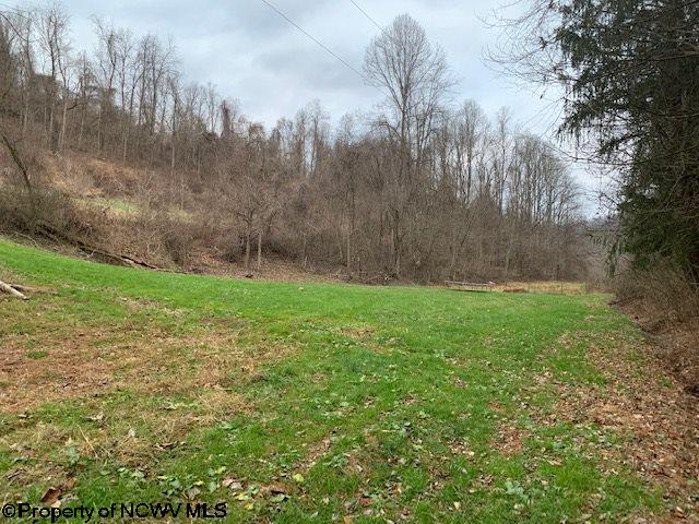 1728 Jack Run Road Clarksburg, WV 26301 - Photo 11 of 29 Gallery Image 11