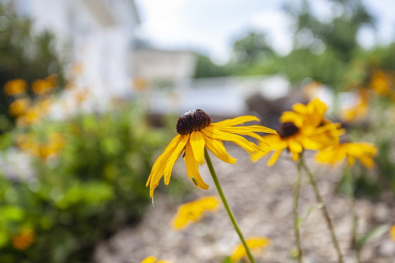 372 Kite Hollow Road Stanley, VA 22851 - Photo 42 of 58 Gallery Image 42