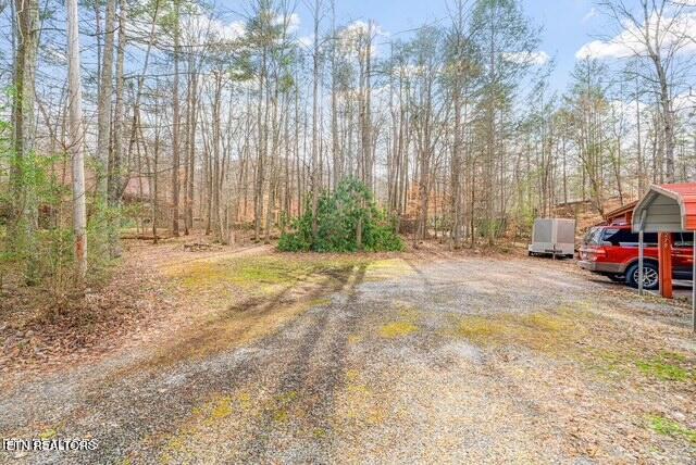 279 Sub Road Cosby, TN 37722 - Photo 28 of 42 Driveway