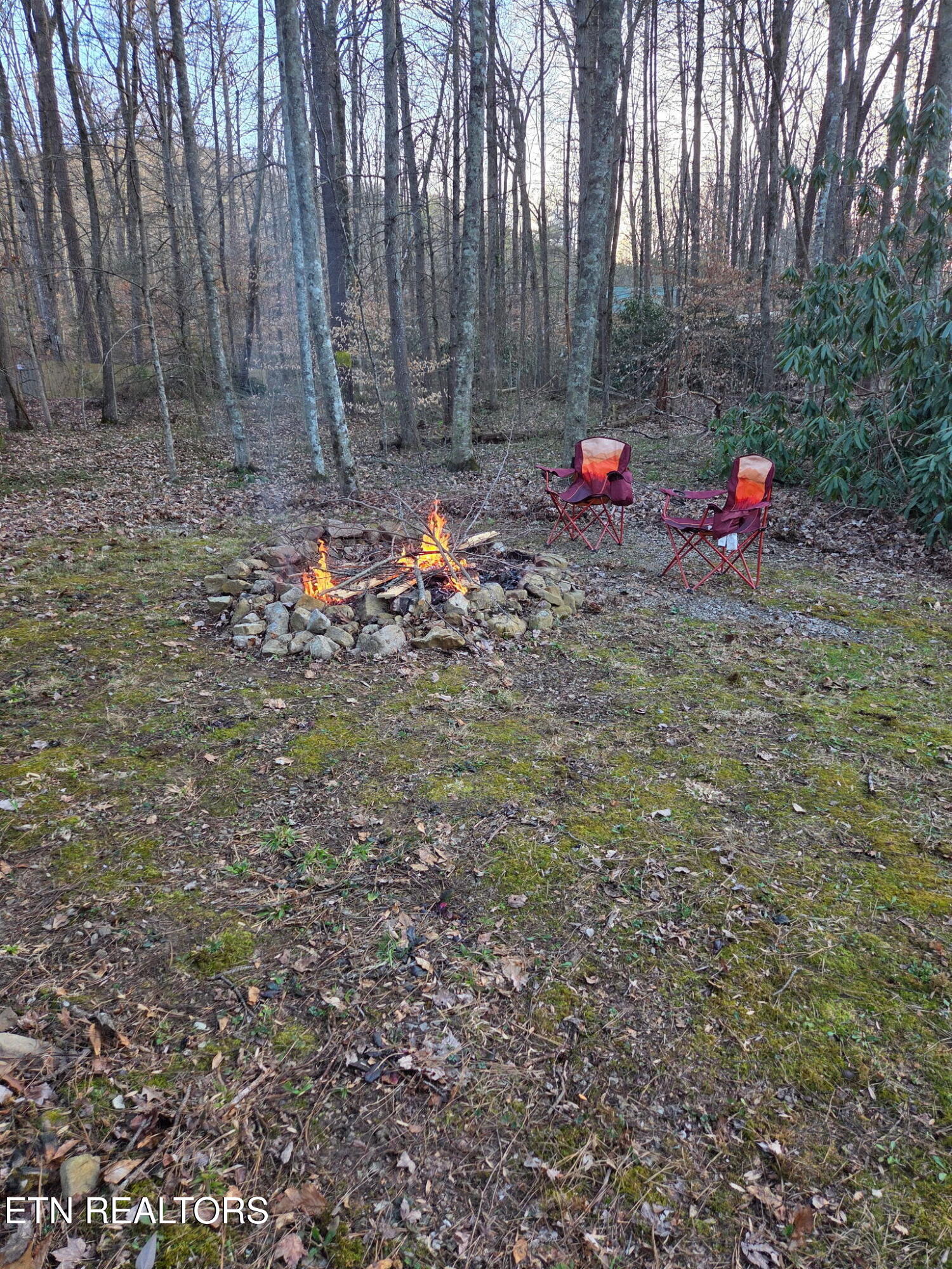 279 Sub Road Cosby, TN 37722 - Photo 37 of 37 7523550900989327356