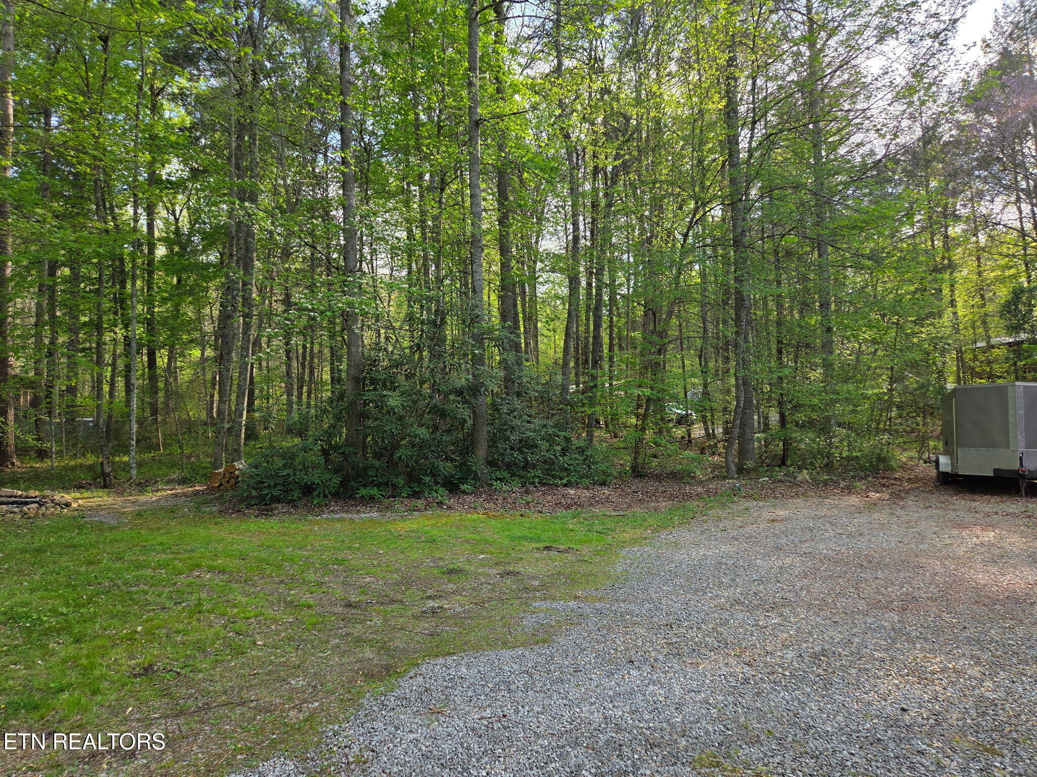 279 Sub Road Cosby, TN 37722 - Photo 4 of 42 Driveway
