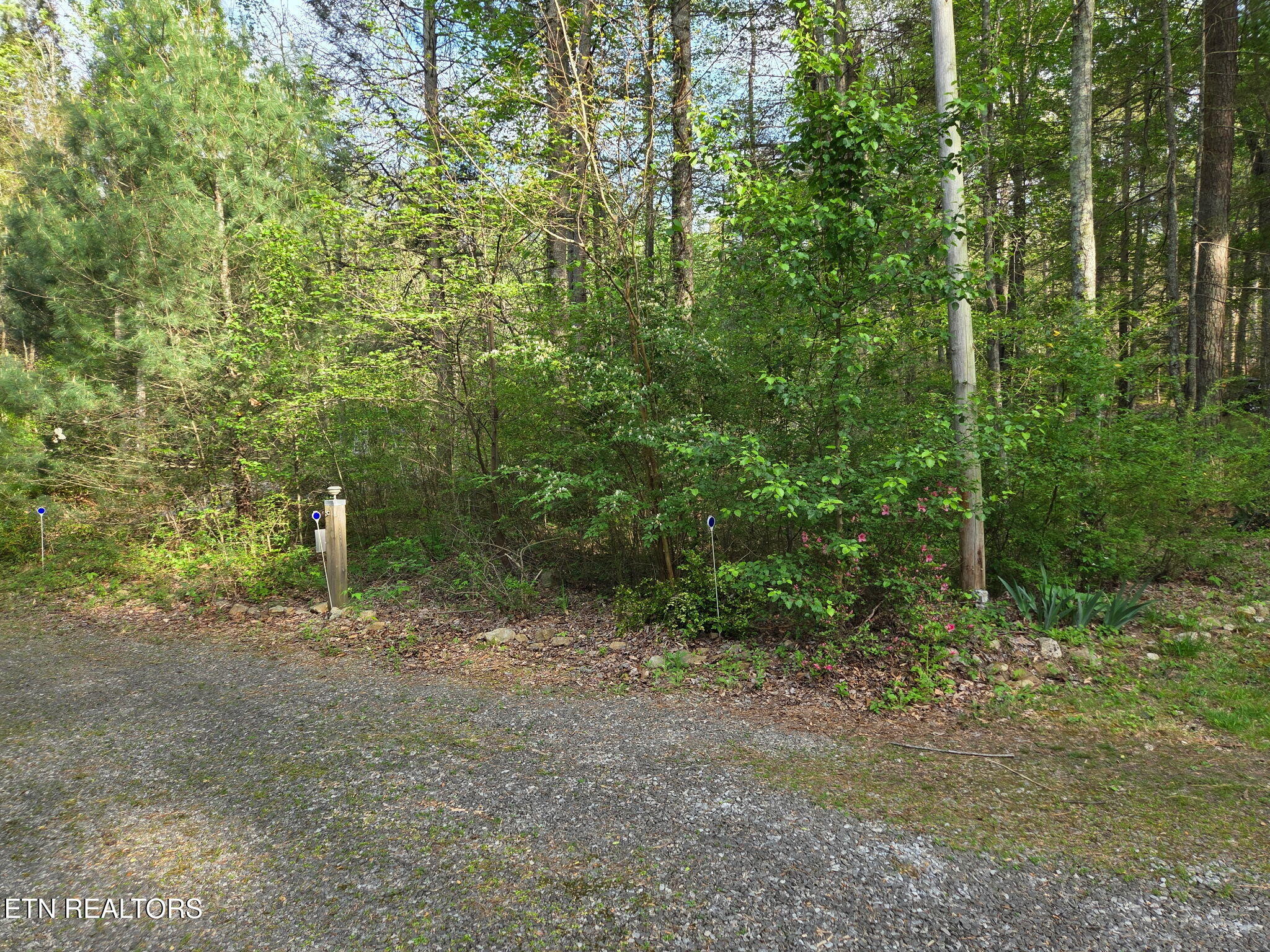 279 Sub Road Cosby, TN 37722 - Photo 42 of 42 Drive