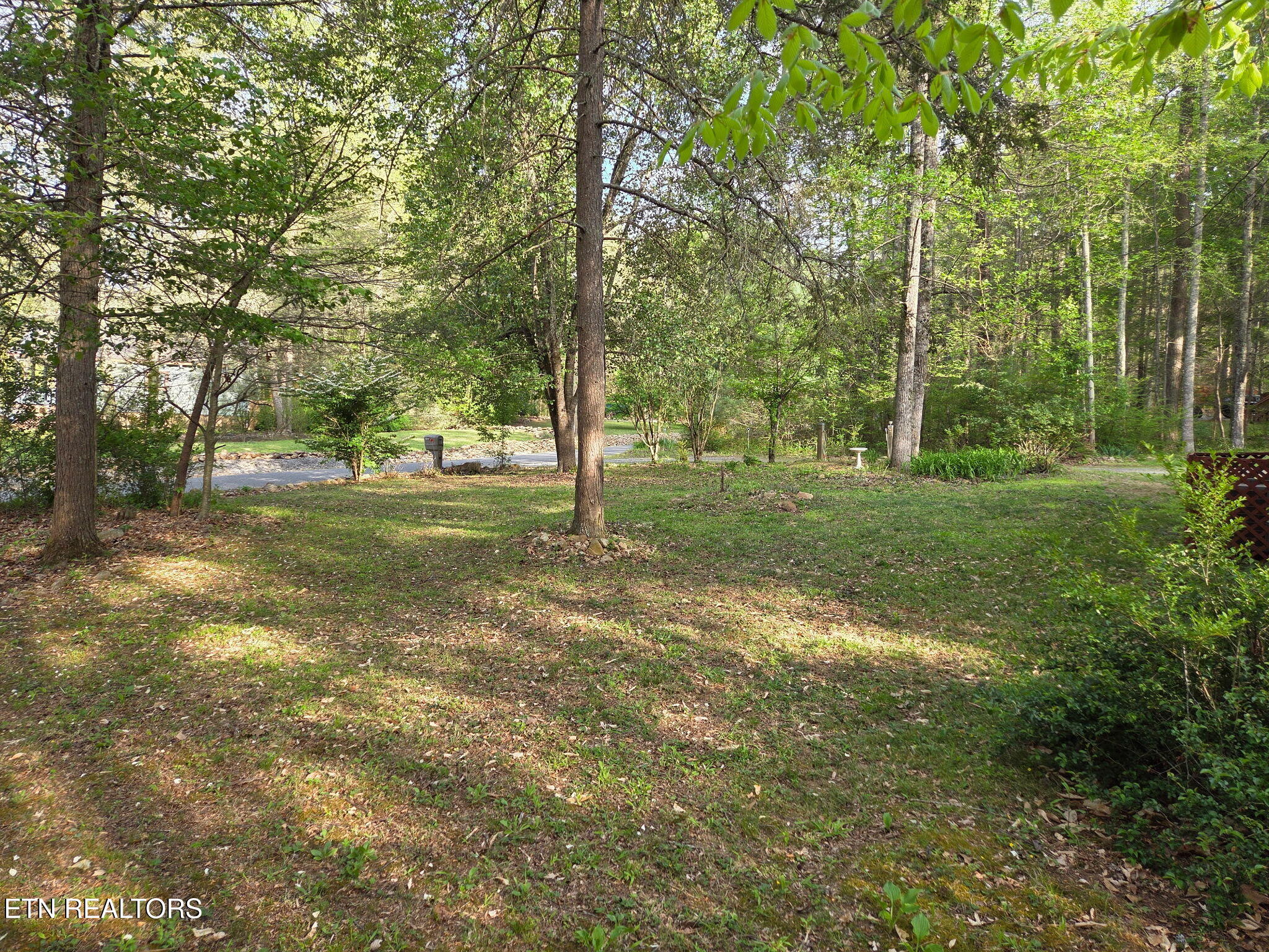 279 Sub Road Cosby, TN 37722 - Photo 5 of 42 Large lot