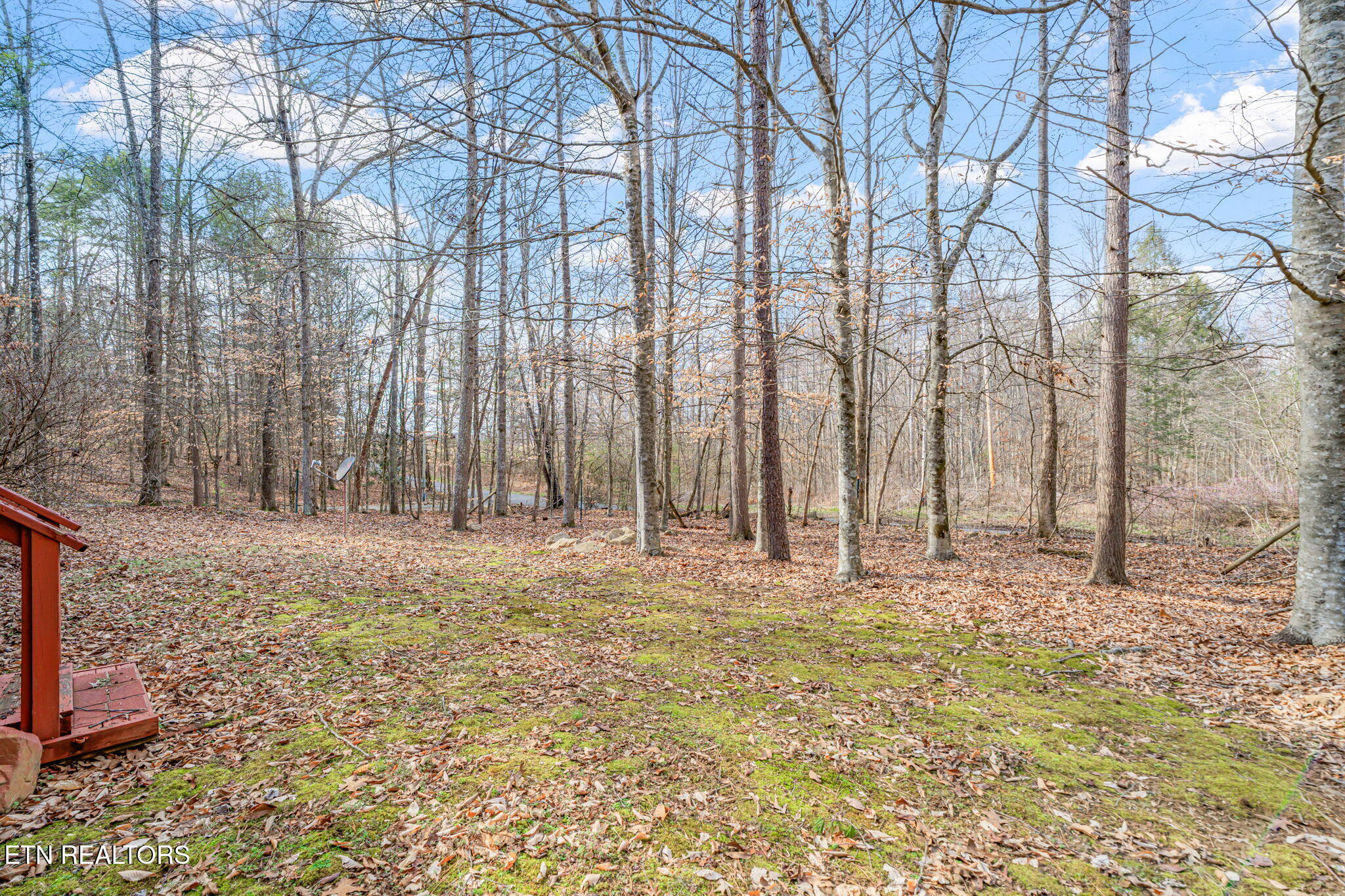 279 Sub Road Cosby, TN 37722 - Photo 8 of 37 Large Level Lot