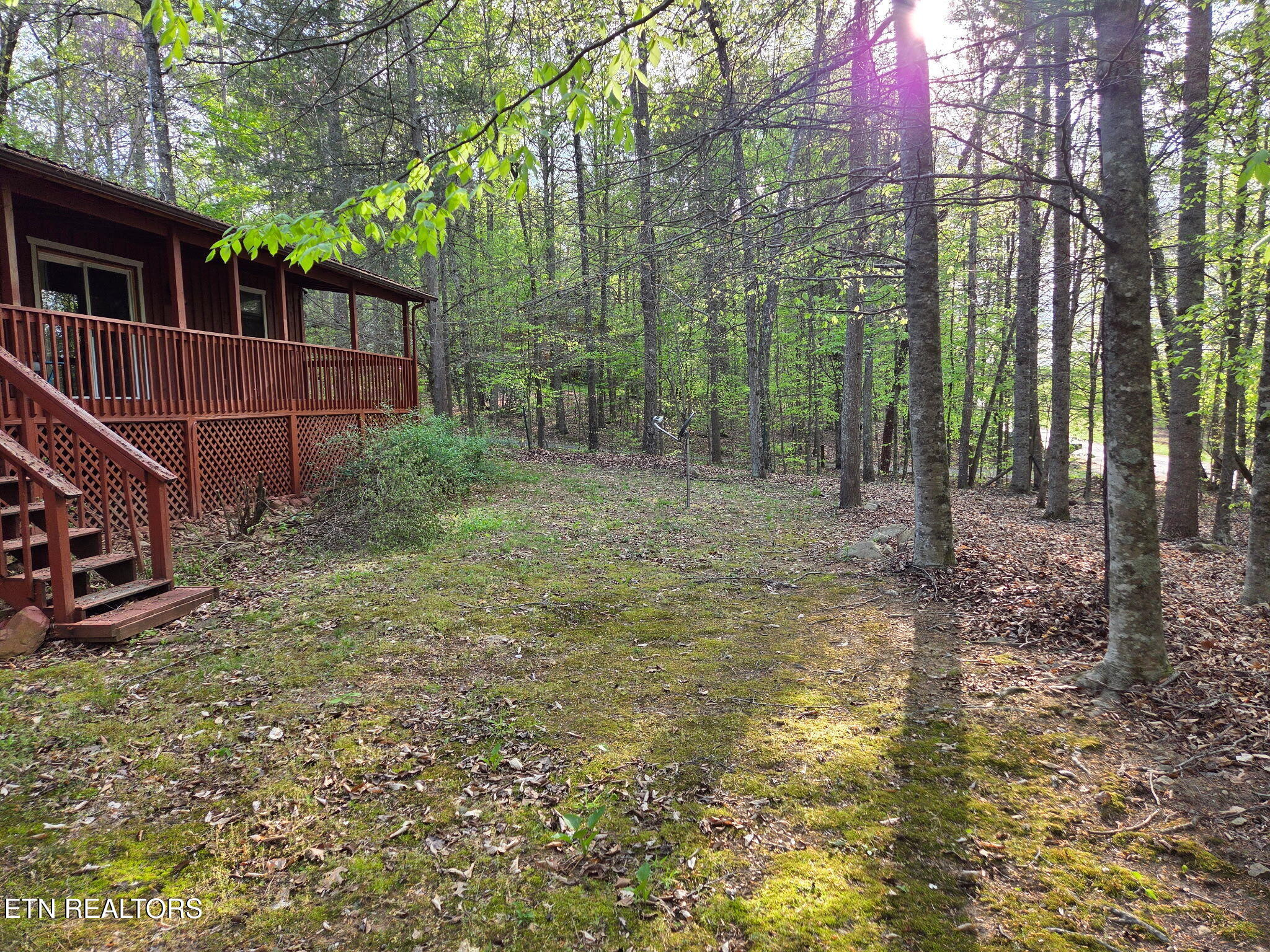 279 Sub Road Cosby, TN 37722 - Photo 9 of 42 Wooded Setting
