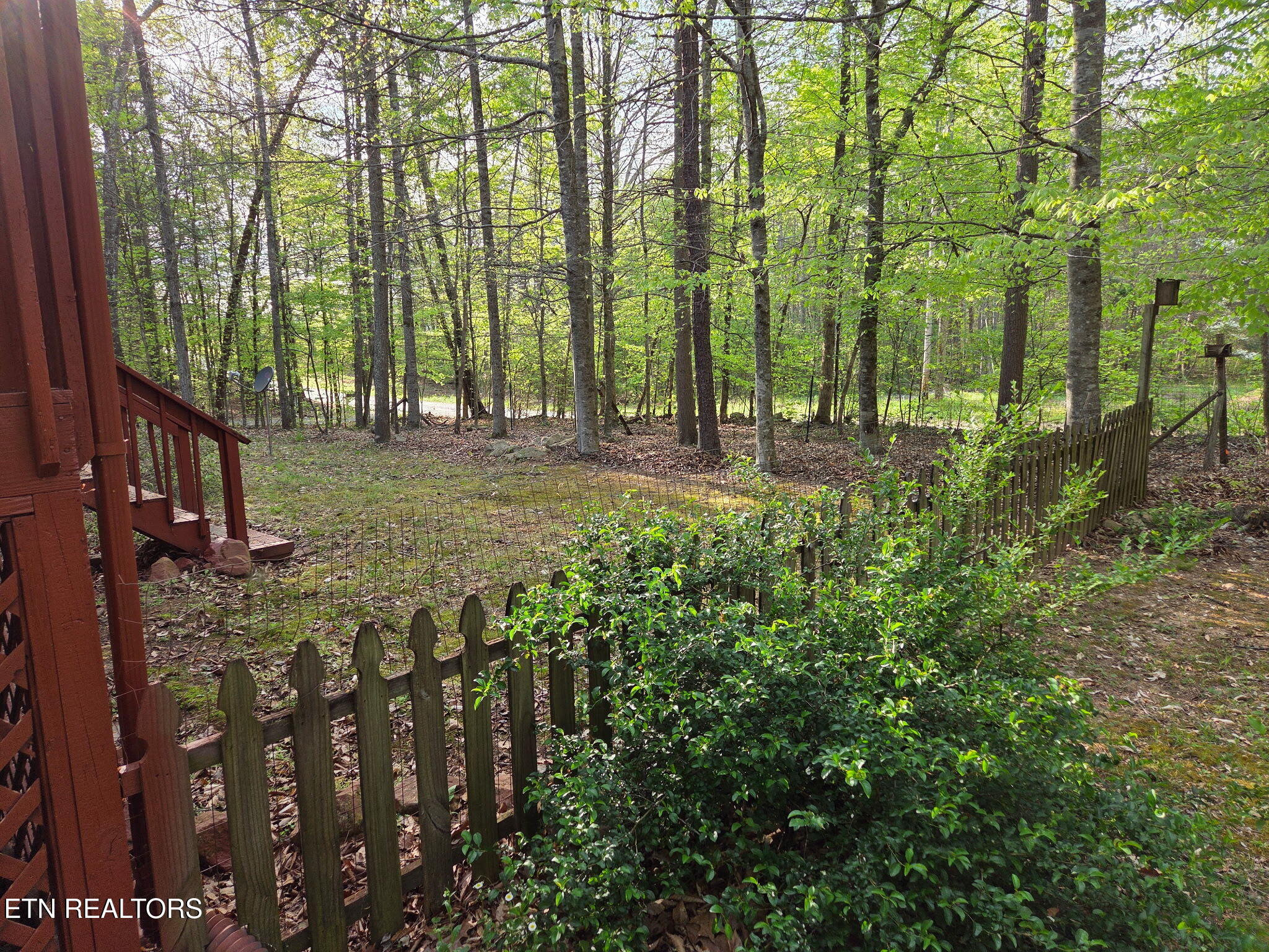 279 Sub Road Cosby, TN 37722 - Photo 10 of 42 Wooded Setting