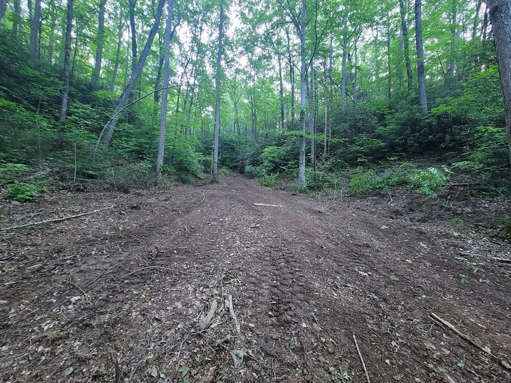 14 Cara Way Cosby, TN 37722 - Photo 2 of 18
