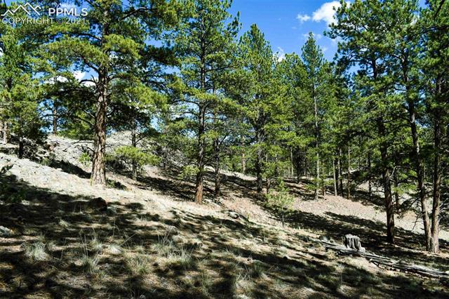 Lot 60 B Road Guffey, CO 80820 - Photo 18 of 28