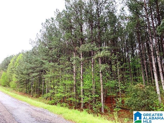 0 County Road 40 Fruithurst, AL 36262 - Photo 2 of 7