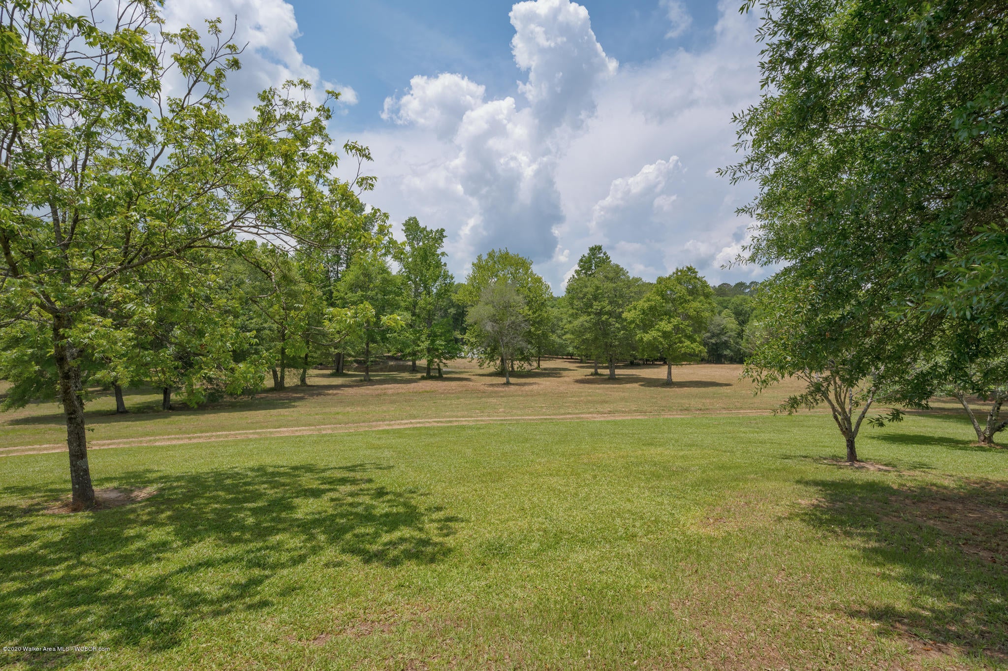 863 Harrison Shipman Road Jasper, AL 35503 - Photo 47 of 47 Gallery Image 47