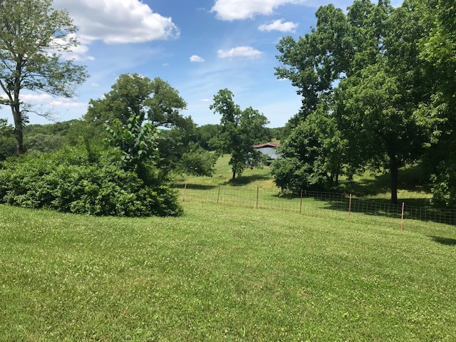 720 Allisona Road Eagleville, TN 37060 - Photo 4 of 20 Gallery Image 4