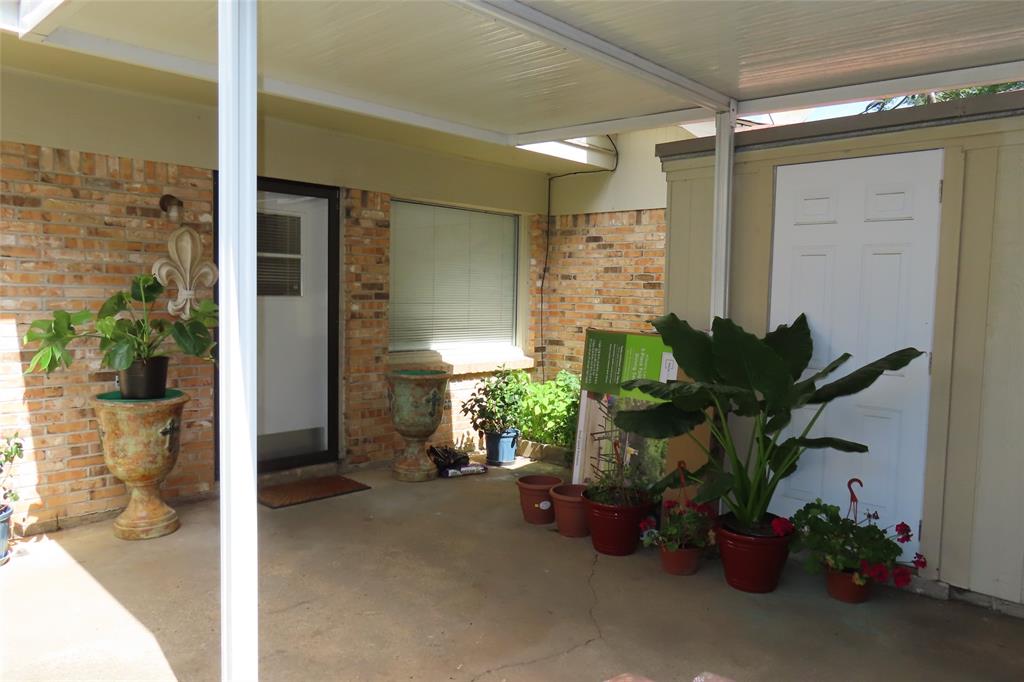 a potted plant sitting in front of a door