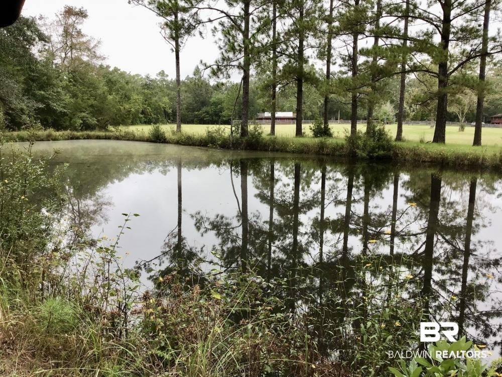 0 Country Road Axis, AL 36505 - Photo 14 of 42