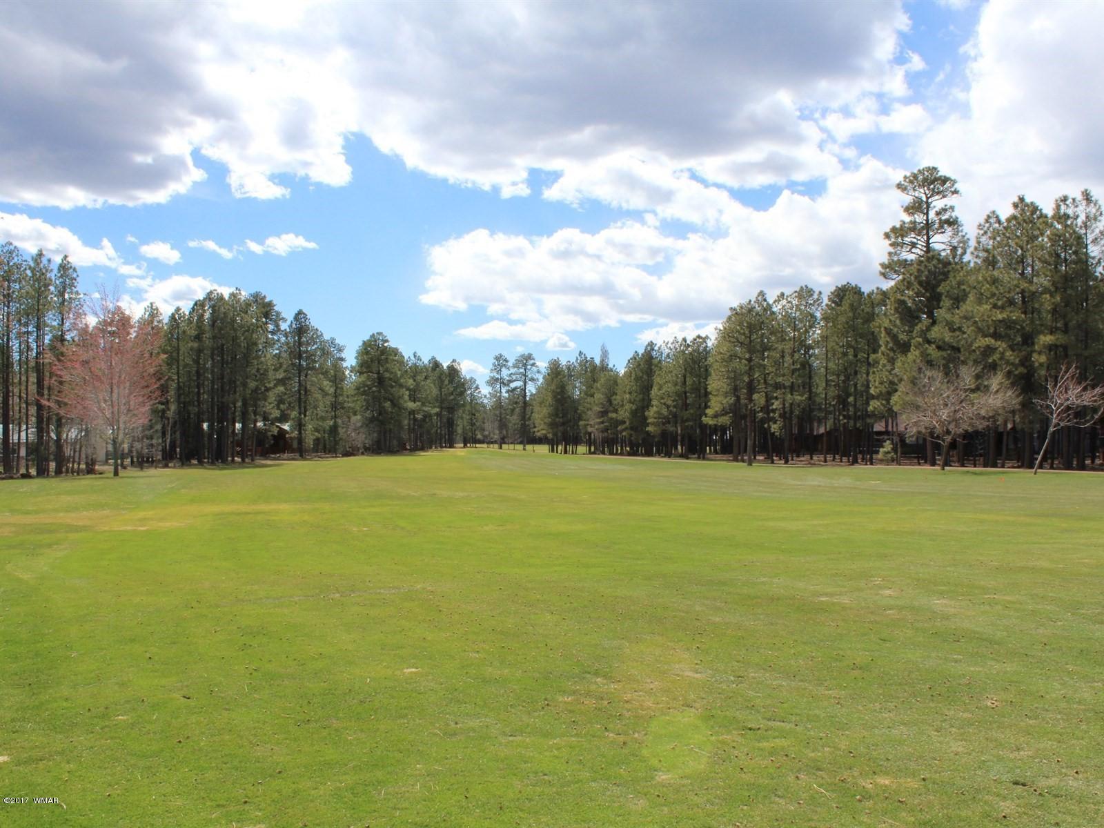 7214 White Oak Road Pinetop, AZ 85935 - Photo 22 of 23 Gallery Image 22