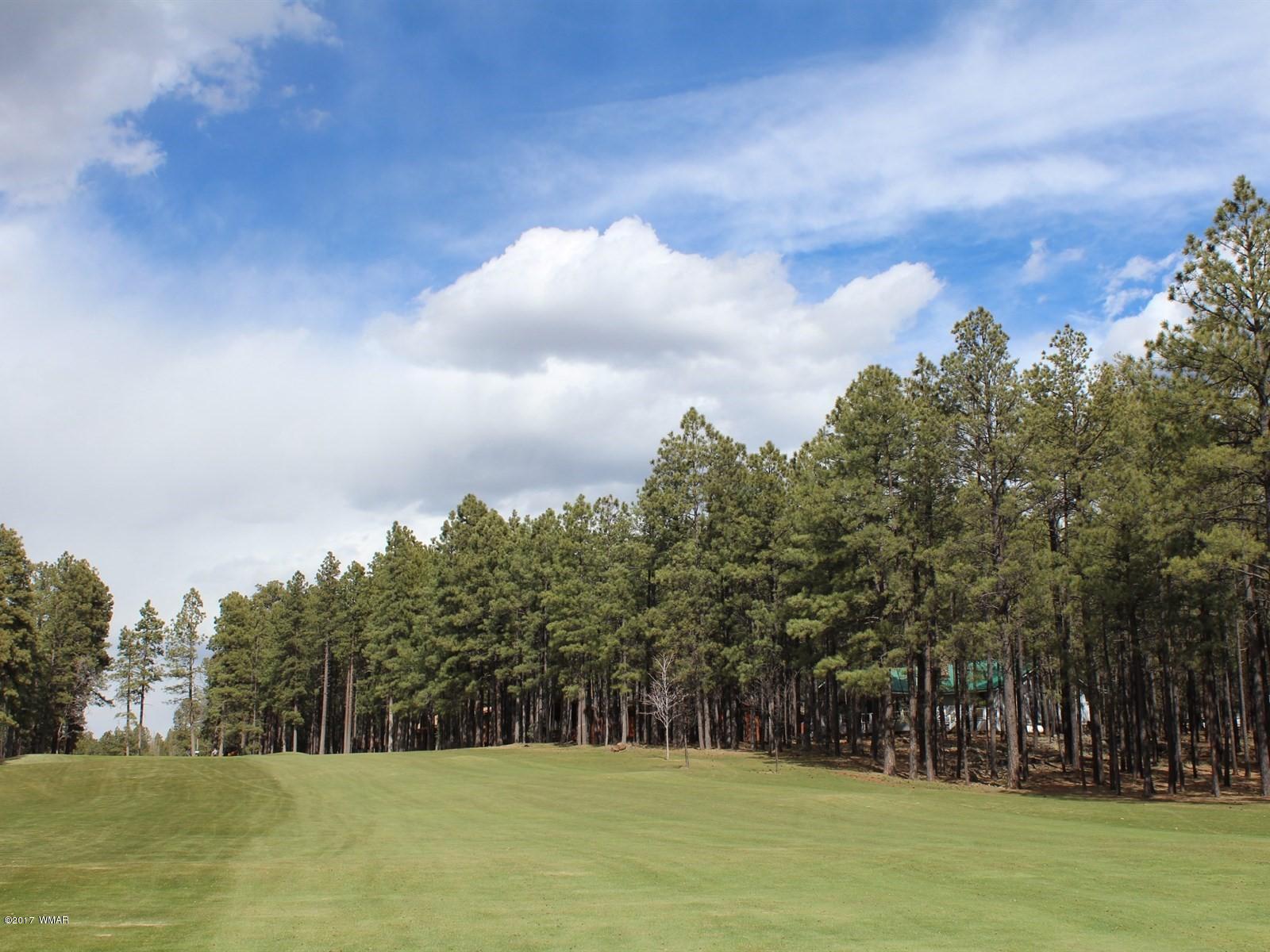 7214 White Oak Road Pinetop, AZ 85935 - Photo 23 of 23 Gallery Image 23