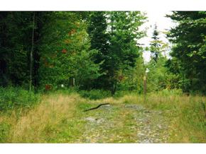 - Off Hudson Road Canaan, VT 05903 - Photo 3 of 4