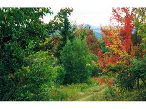 - Off Hudson Road Canaan, VT 05903 - Photo 4 of 4