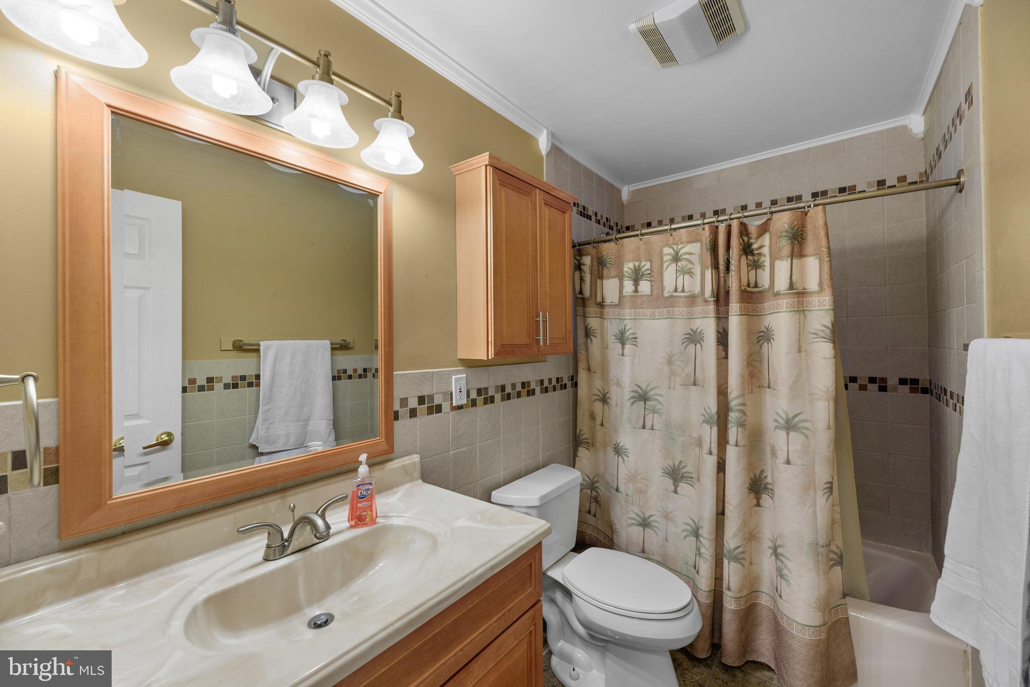206 Pike Road Pasadena, MD 21122 - Photo 21 of 56 Full Bath