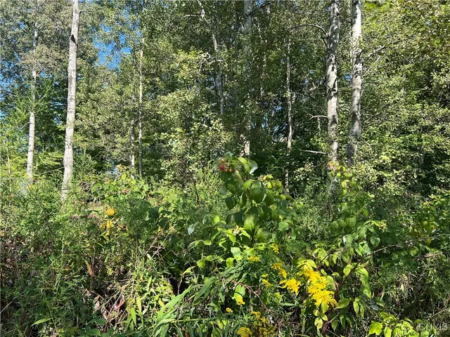 $229,000 | 298 Lick Street, Summerhill, NY 13092