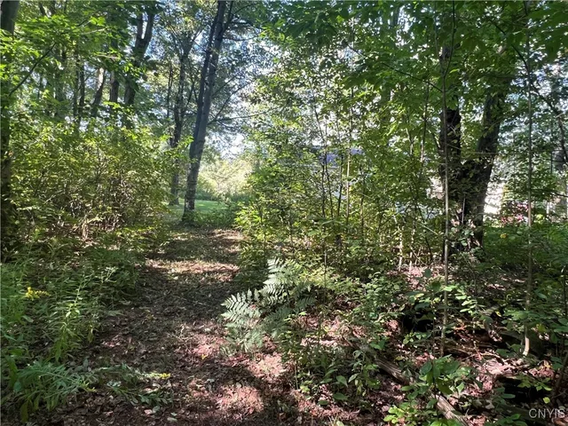 $229,000 | 298 Lick Street, Summerhill, NY 13092