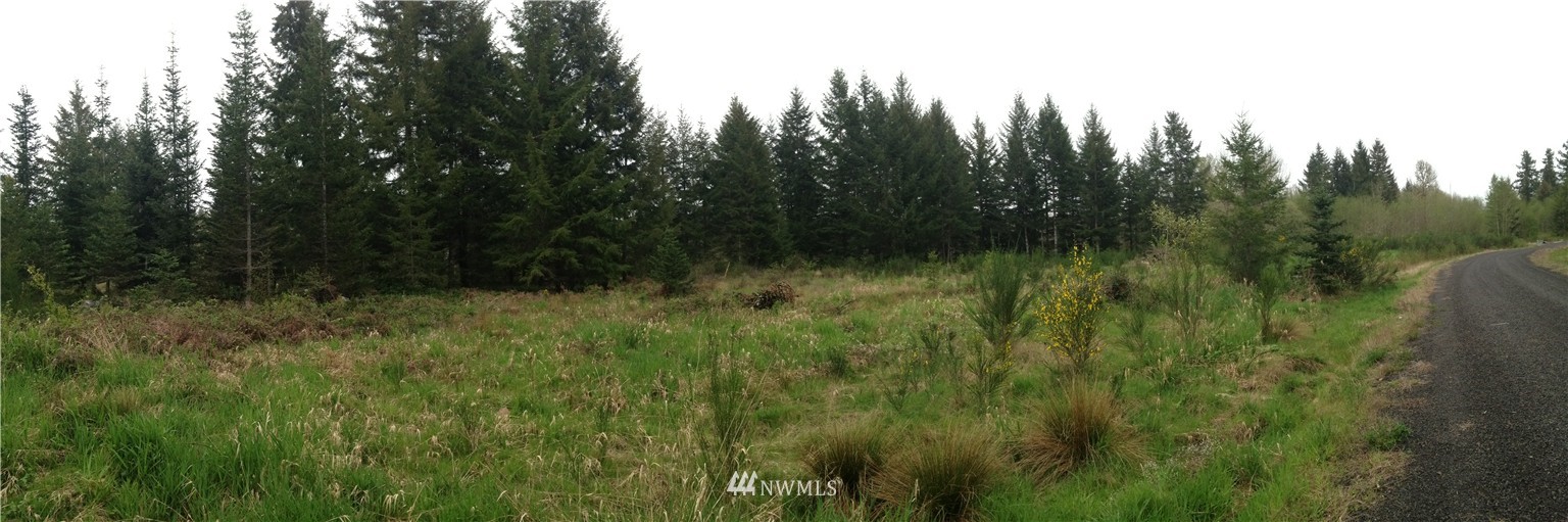 311 Cedarbrook Lane Chehalis, WA 98532 - Photo 1 of 1 Gallery Image 1