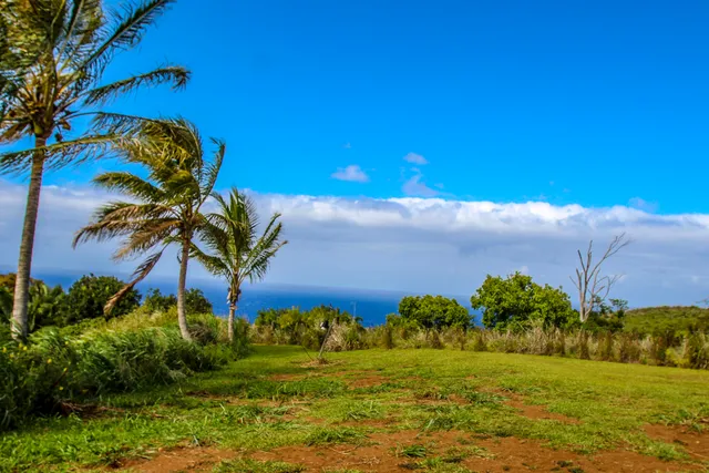 a view of lake with green space