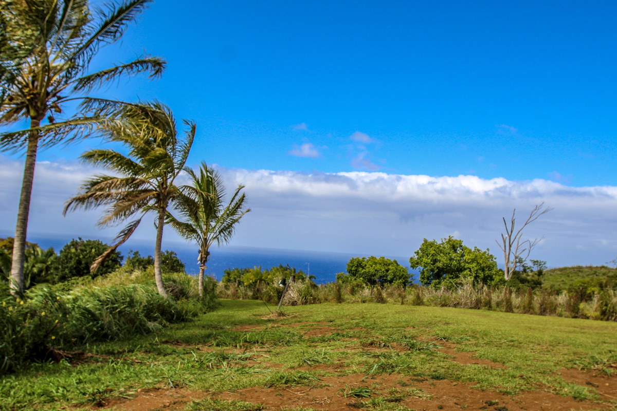 32-351 Lot 1-e Kapena Road Ninole, HI 96773 - Photo 14 of 30 a view of a garden