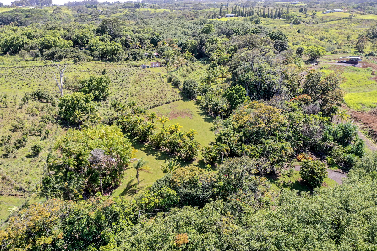 32-351 Lot 1-e Kapena Road Ninole, HI 96773 - Photo 19 of 30 an aerial view of residential houses with outdoor space and trees