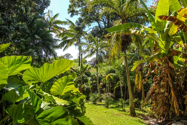 a view of an outdoor space