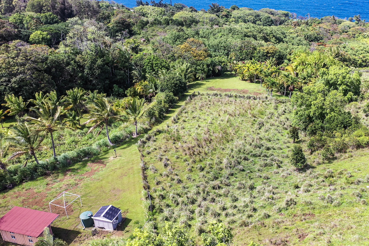 32-351 Lot 1-e Kapena Road Ninole, HI 96773 - Photo 24 of 30 a view of a yard with plants