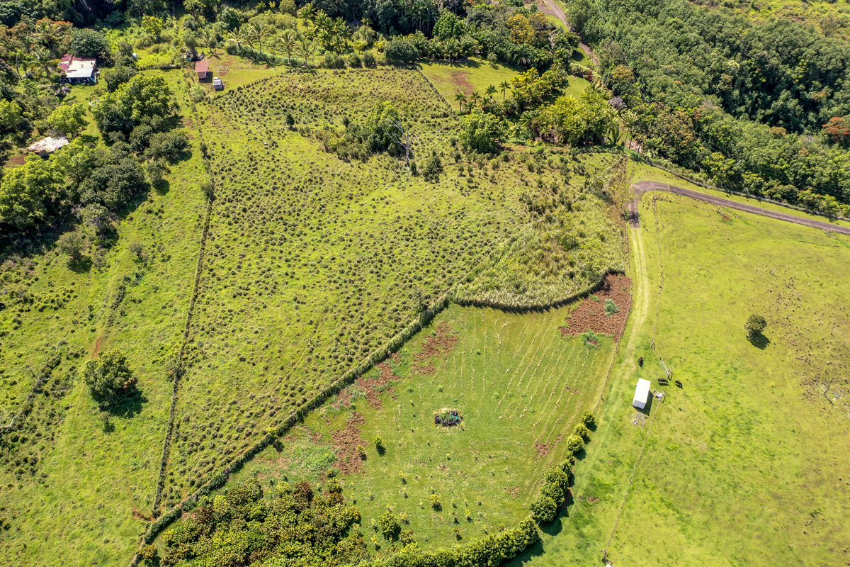 32-351 Lot 1-e Kapena Road Ninole, HI 96773 - Photo 25 of 30 a view of a garden
