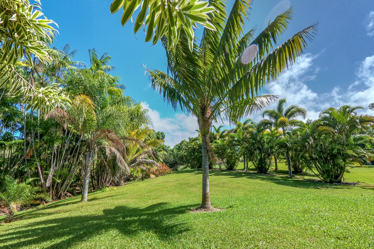 32-351 Lot 1-e Kapena Road Ninole, HI 96773 - Photo 26 of 30 a view of a backyard