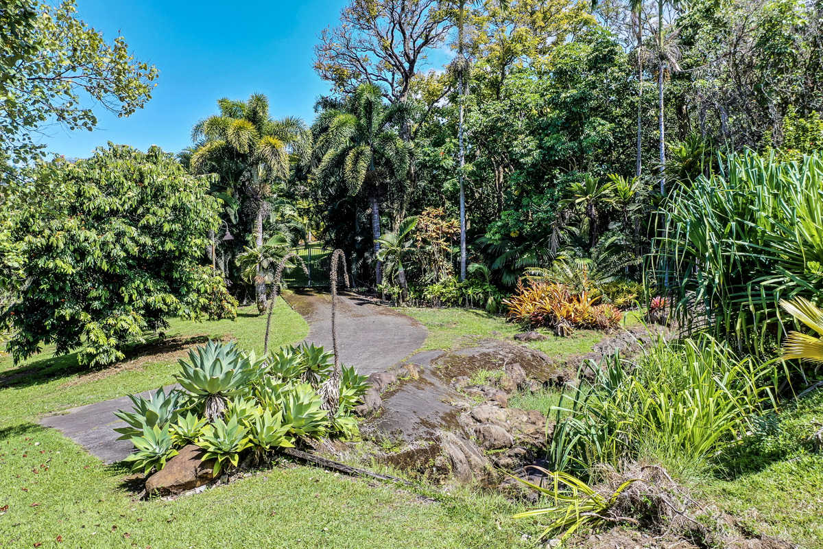 32-351 Lot 1-e Kapena Road Ninole, HI 96773 - Photo 29 of 30 a view of a garden with plants