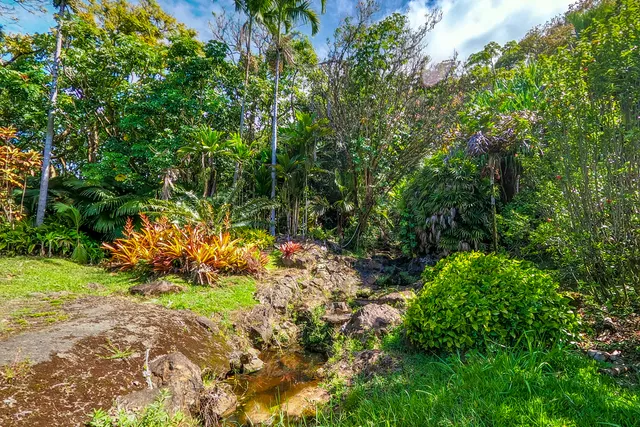 a view of a garden with flowers