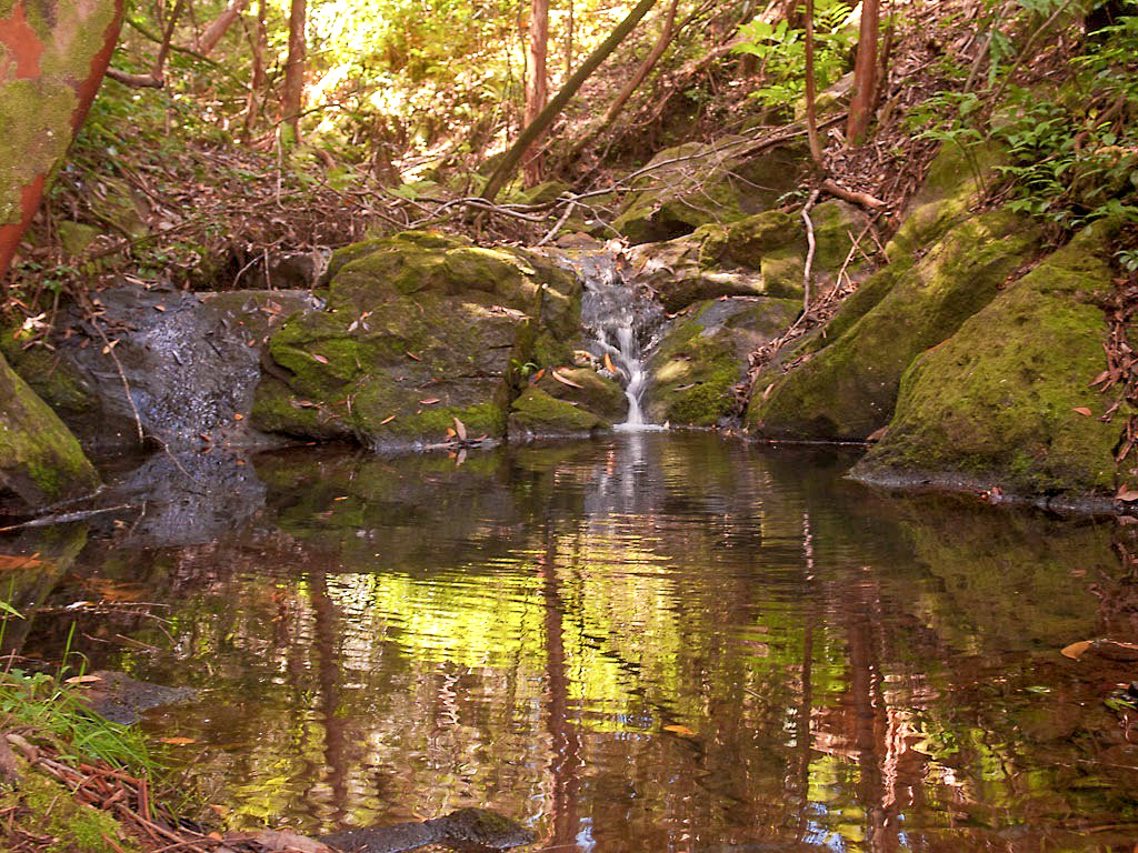 32-351 Lot 1-e Kapena Road Ninole, HI 96773 - Photo 5 of 30
