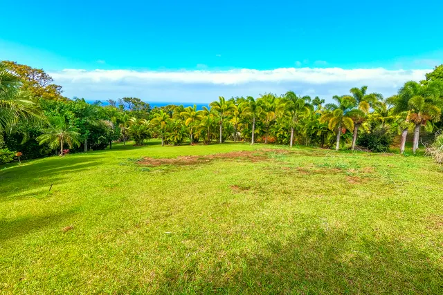 a view of an ocean from a yard