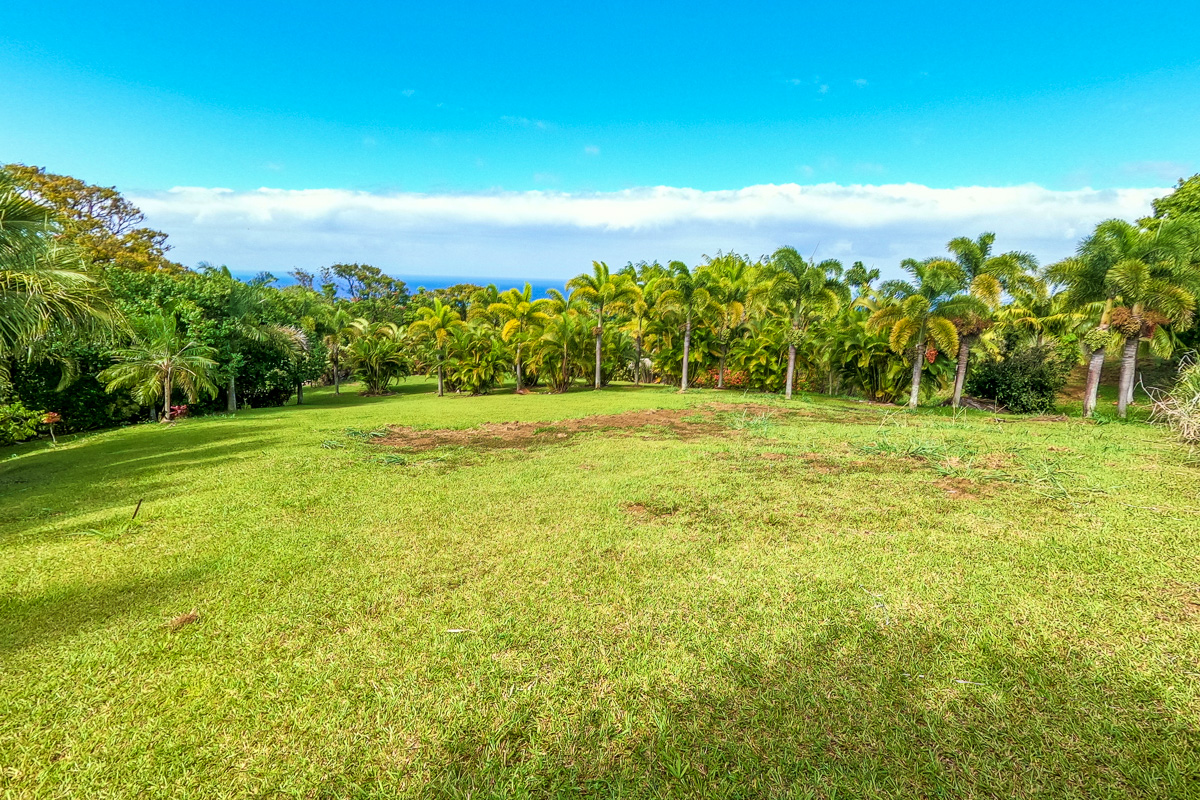 32-351 Lot 1-e Kapena Road Ninole, HI 96773 - Photo 8 of 30 a view of a field with an ocean