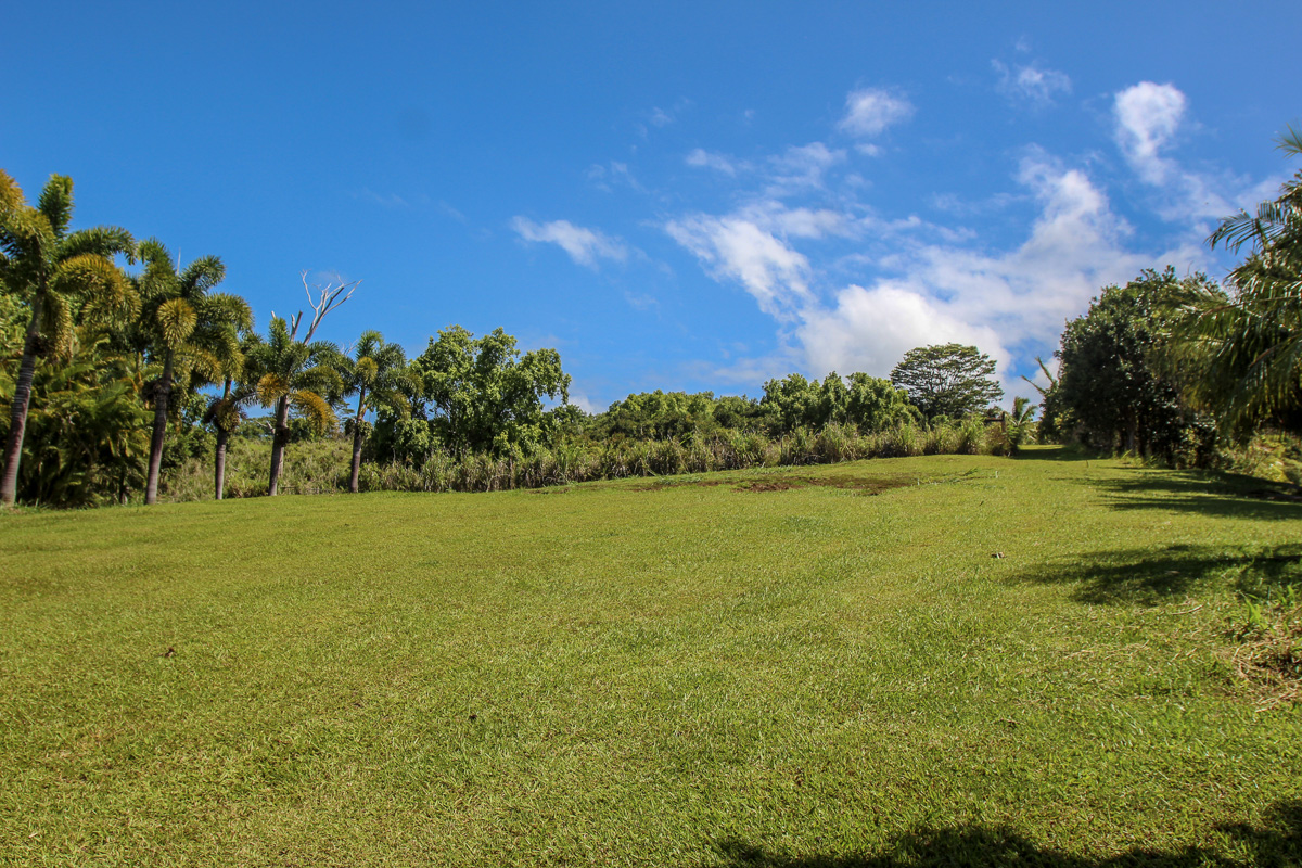 32-351 Lot 1-e Kapena Road Ninole, HI 96773 - Photo 9 of 30 a view of an ocean from a yard