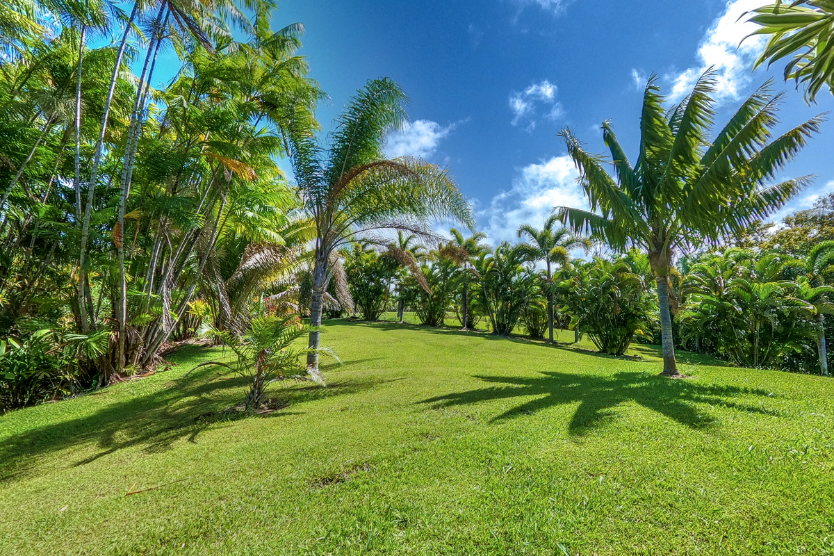32-351 Lot 1-e Kapena Road Ninole, HI 96773 - Photo 10 of 30 a view of a park with a tree