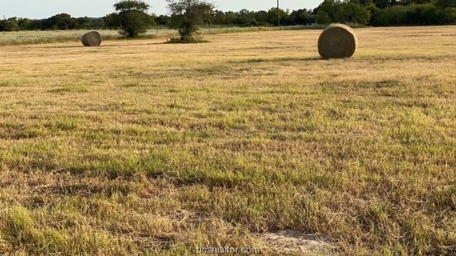 1290 Gun Range Road Somerville, TX 77879 - Photo 10 of 15 Gallery Image 10