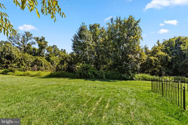 a view of a garden with a tree