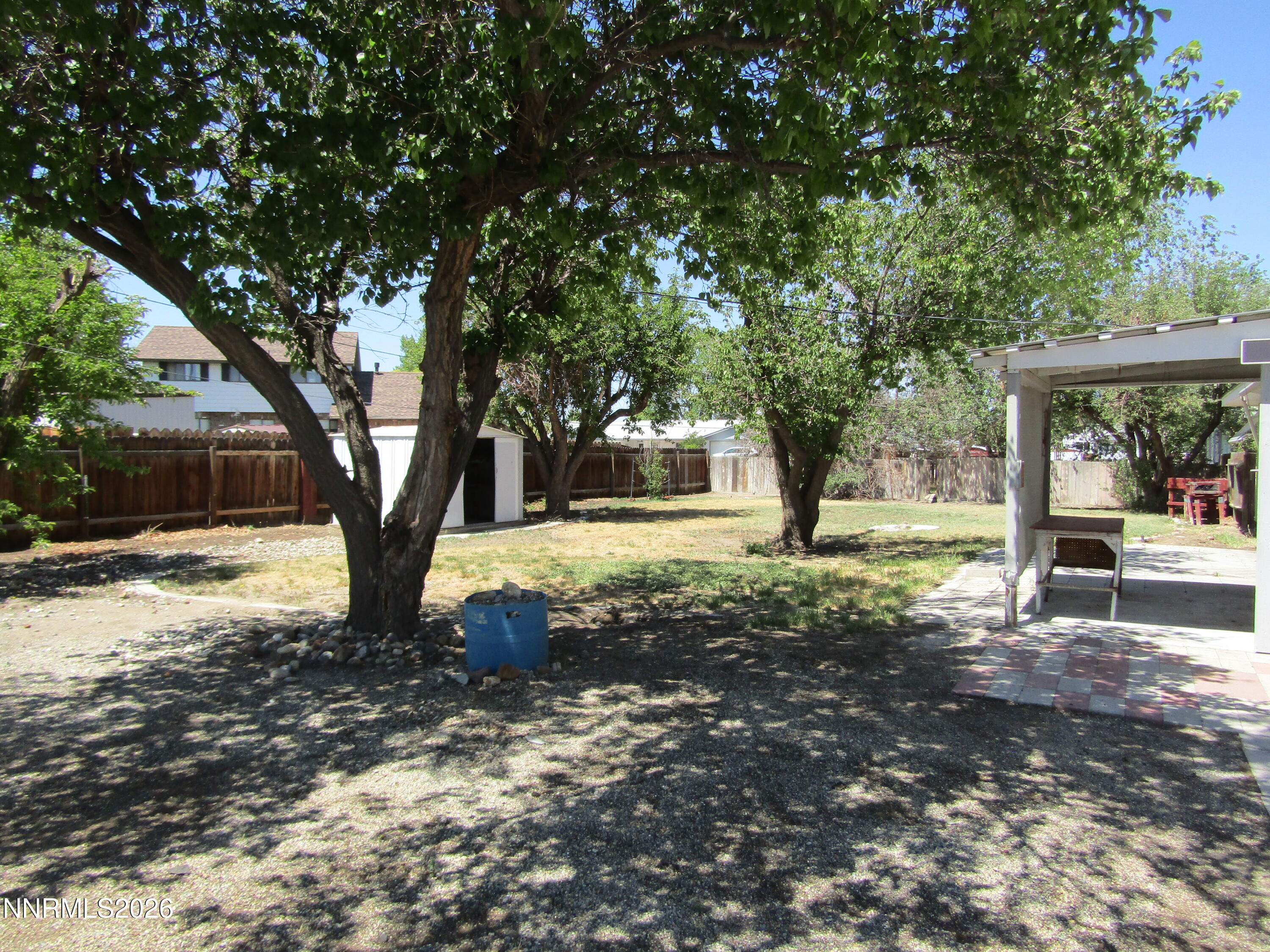 111 South Whitacre Street Yerington, NV 89447 - Photo 25 of 30 a tree in the middle of a yard