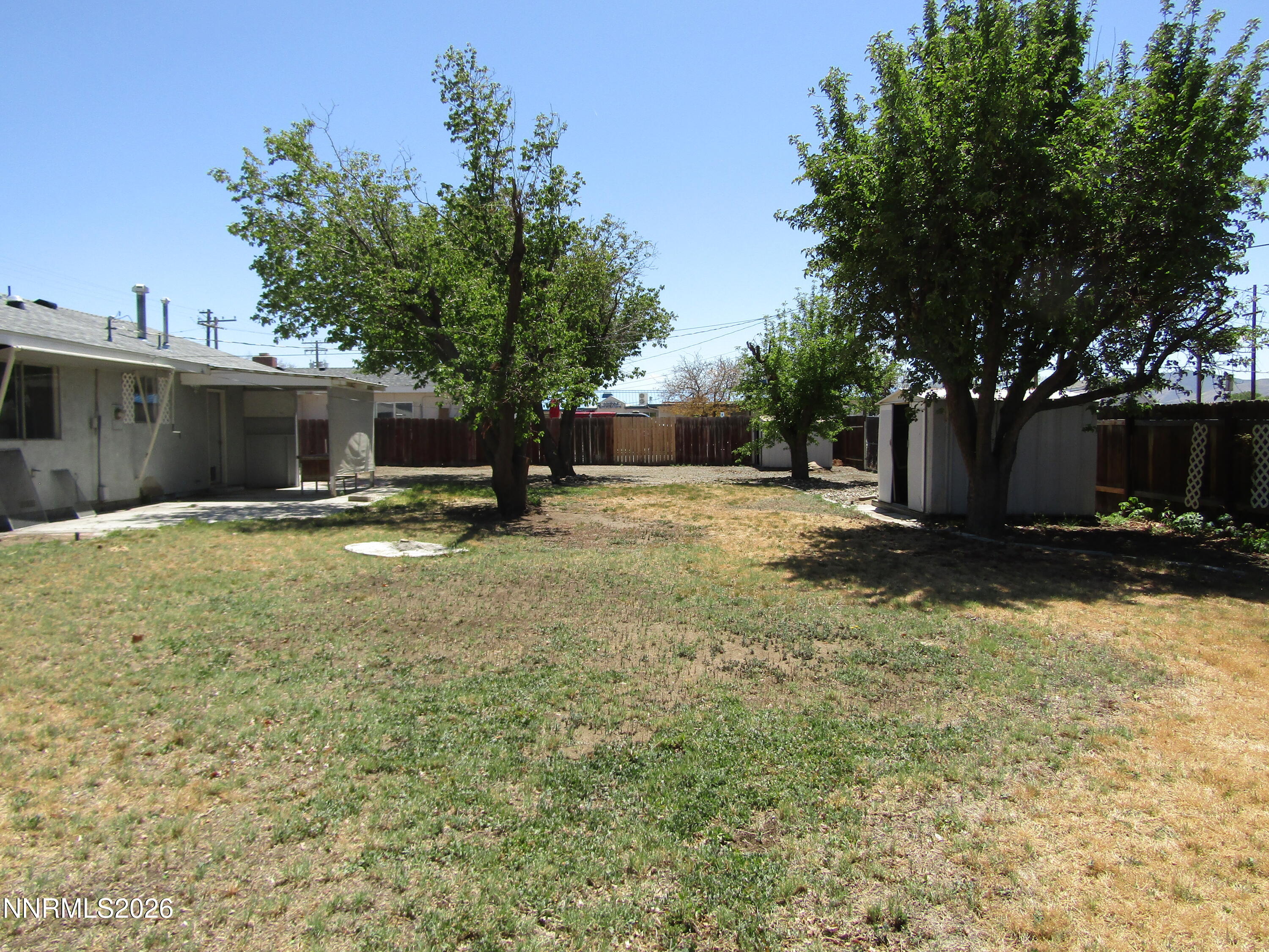 111 South Whitacre Street Yerington, NV 89447 - Photo 30 of 30 a view of a backyard with large trees