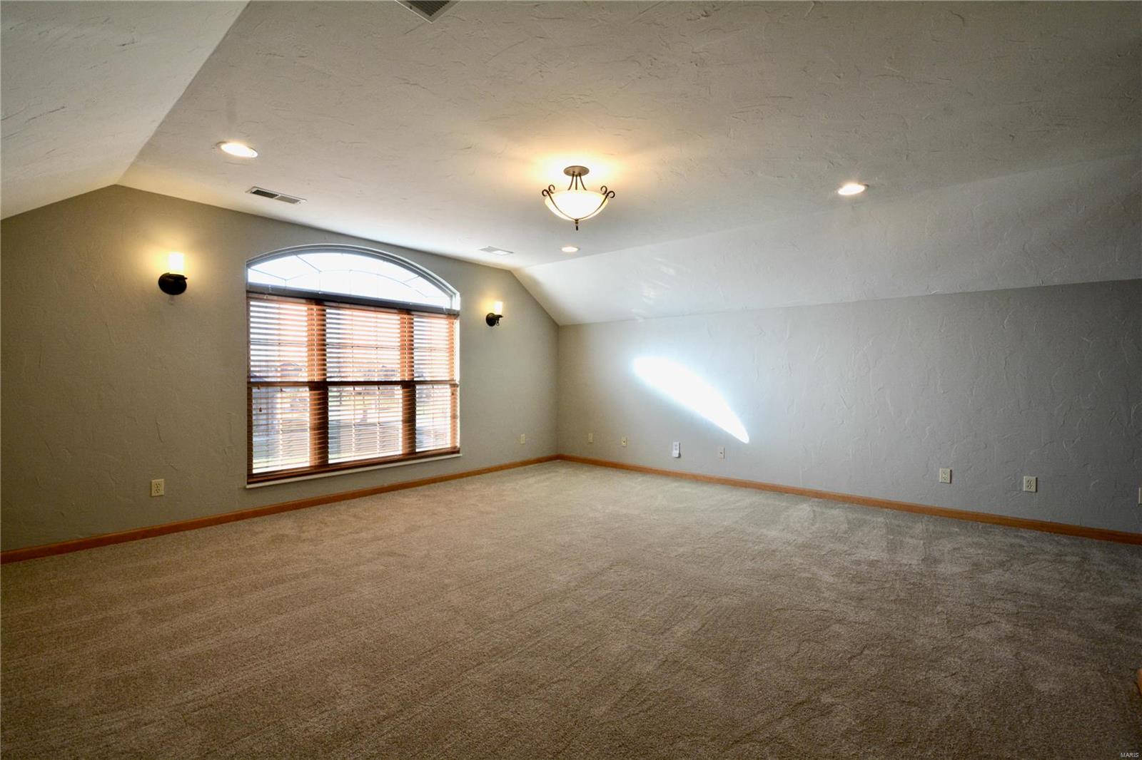 513 Torchlight Lane Lebanon, IL 62254 - Photo 47 of 63