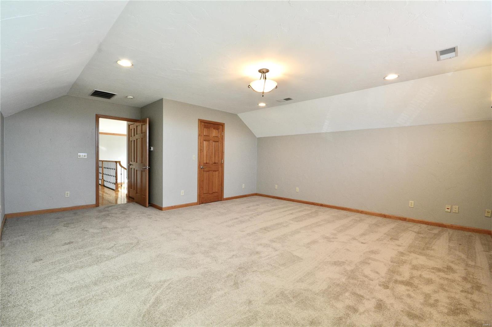 513 Torchlight Lane Lebanon, IL 62254 - Photo 49 of 63