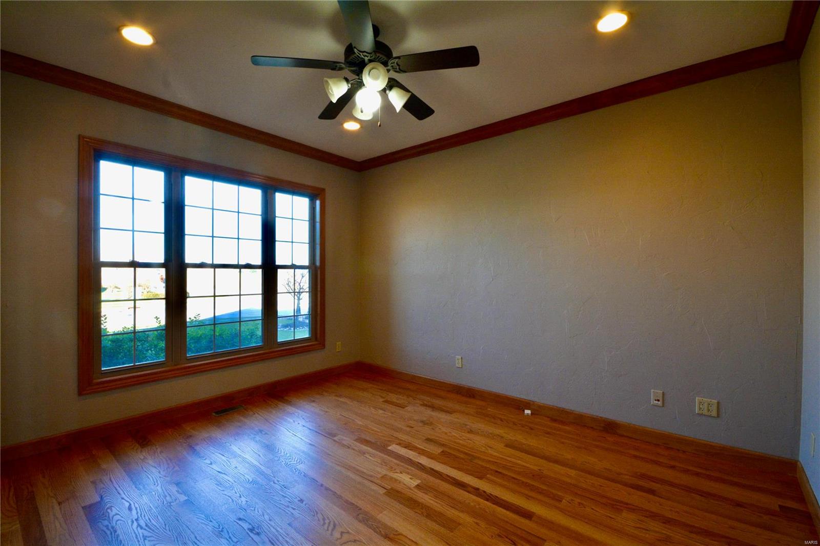 513 Torchlight Lane Lebanon, IL 62254 - Photo 9 of 63
